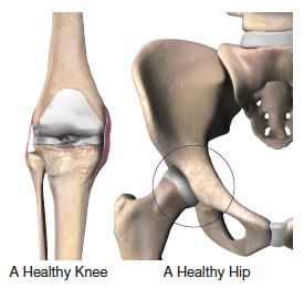 Understanding the Causes of Joint Pain